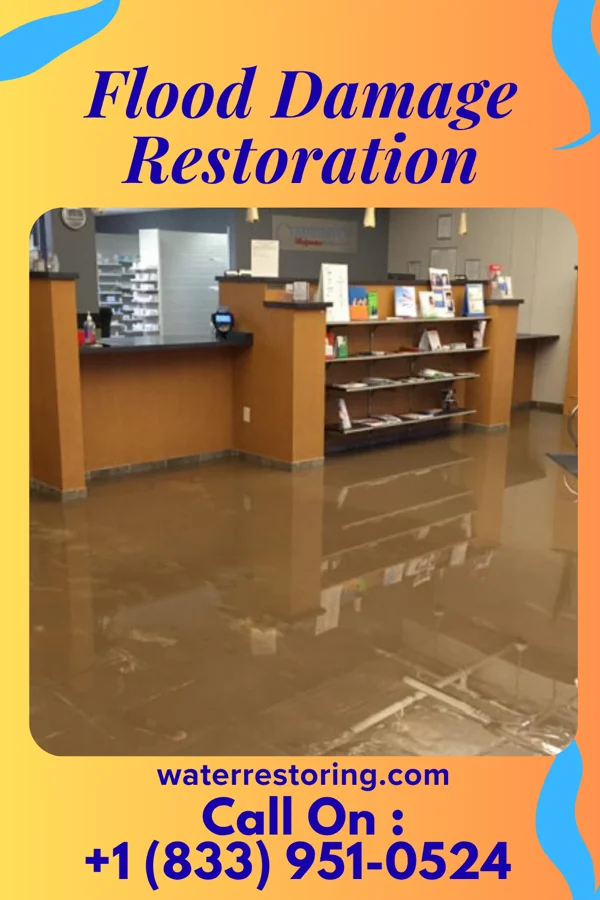 Flood Damage Restoration in North Merritt Island, FL