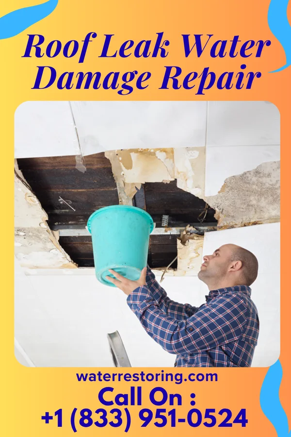 Roof Leak Water Damage Repair in North Merritt Island, FL